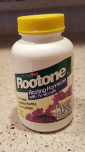 Rooting Hormone