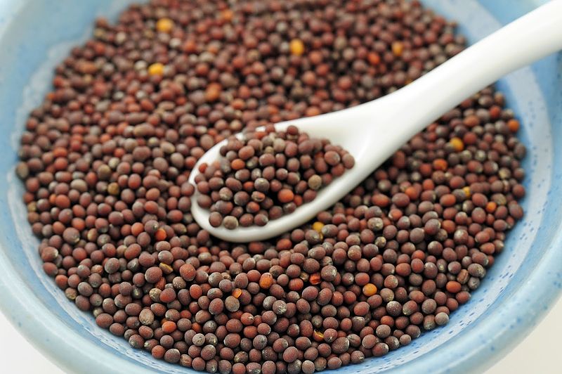 mustard-seed-advice-from-the-herb-lady